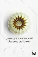 Paraisos artificiales
