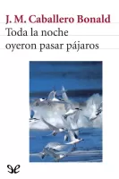 Toda la noche oyeron pasar pájaros