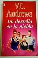 Un destello en la niebla